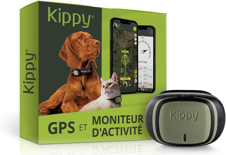 Ce gadget révolutionnaire qui transforme la promenade de votre chien en aventure inoubliable 🐾✨