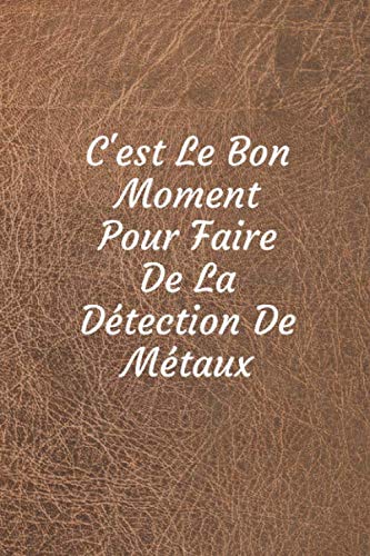 Cette technique surprenante pour dénicher des trésors enfouis vous étonnera ! 🪙✨