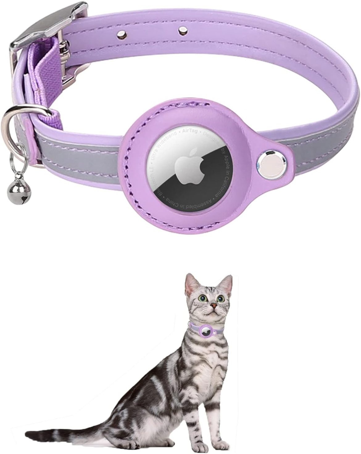 Ce collier pour chat va révolutionner vos promenades 🐾✨