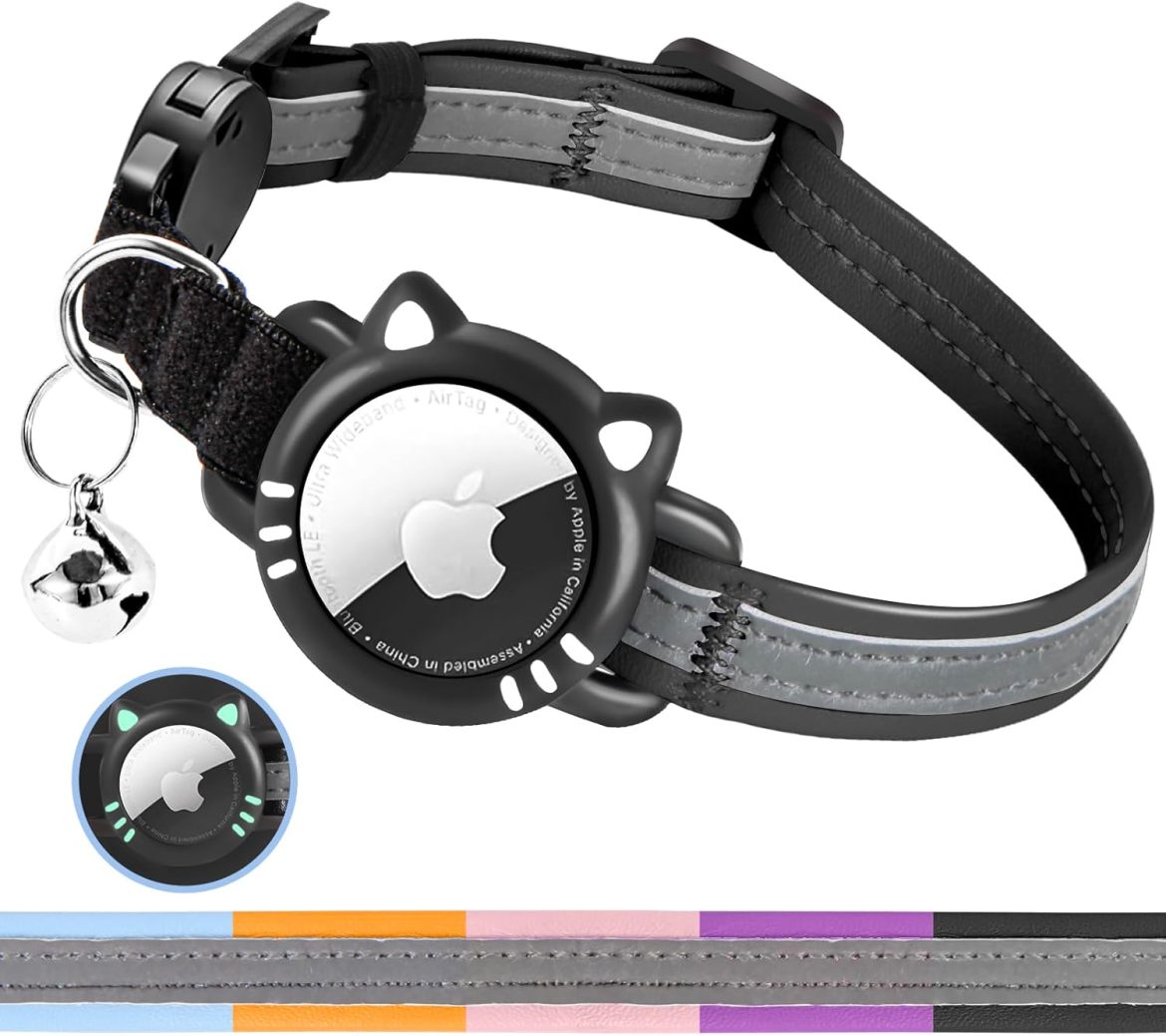 Ce collier magique pour chat va transformer vos promenades en aventures 🌟🐾